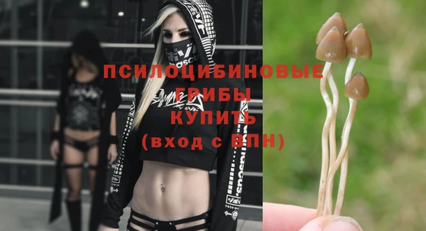 ПСИЛОЦИБИНОВЫЕ ГРИБЫ Щучье
