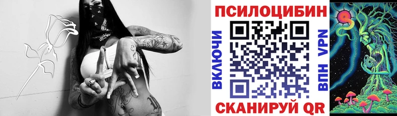 продажа наркотиков  ссылка на мегу ссылка  Псилоцибиновые грибы Psilocybe  Салават 